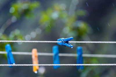 Close-up of blue rope tied to metal fence
