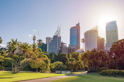 Park and modern cityscape with sun star. royal botanic garden landscape with sydney skyline.