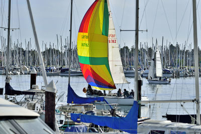 Sailboats moored at harbor against sky