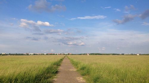 Dirt road passing through field