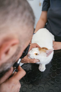 Midsection of man holding cat