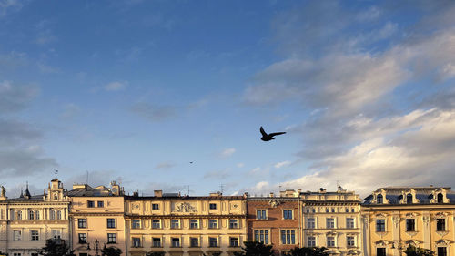 Low angle view of birds flying in sky