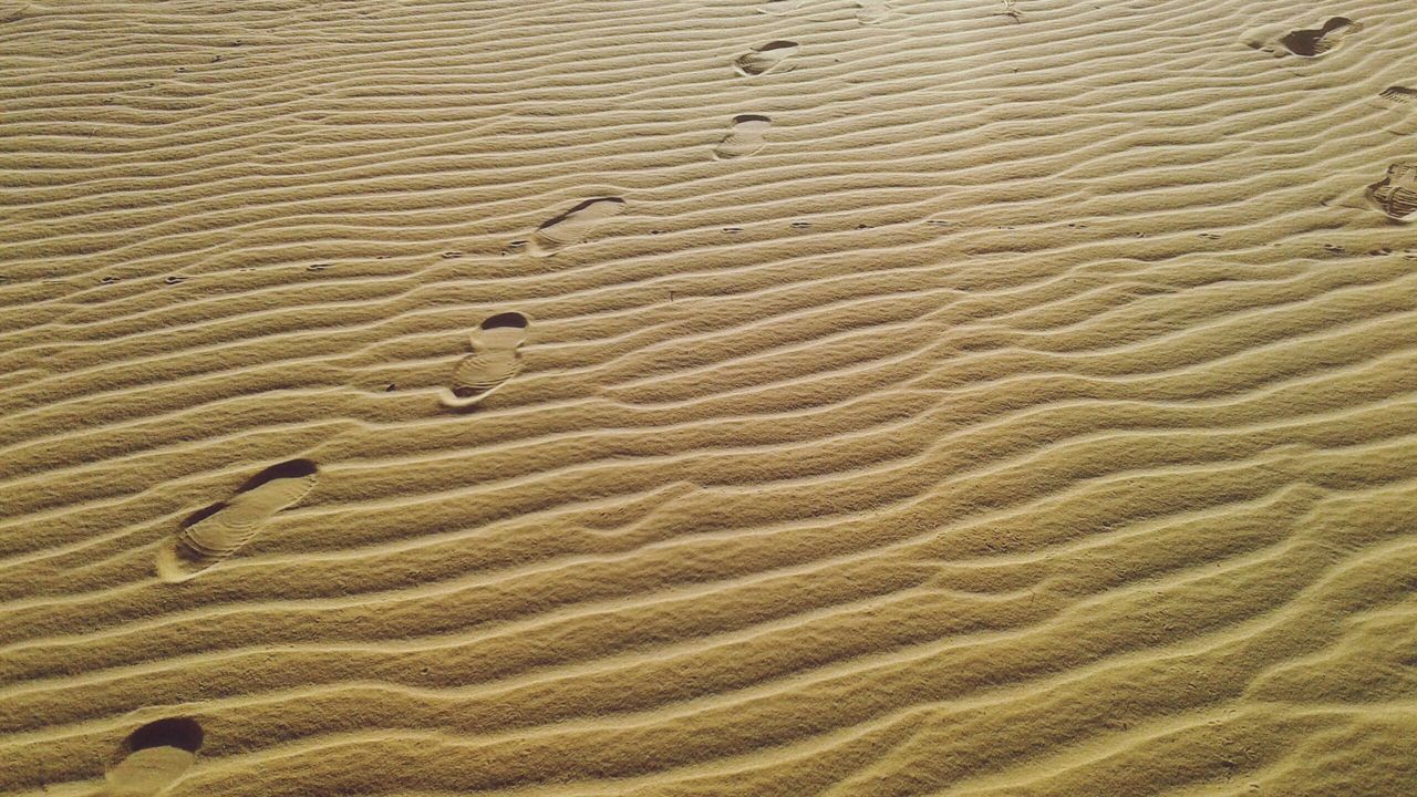 FULL FRAME SHOT OF SAND DUNE IN DESERT