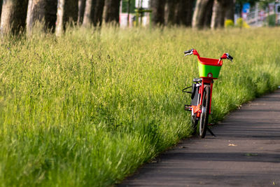 Bicycle on footpath amidst field