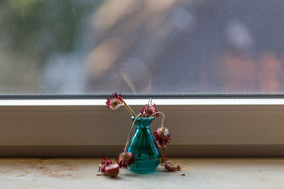 Close-up of wilted flowers in vase on window sill 