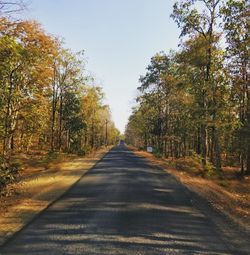 Empty road along trees during autumn