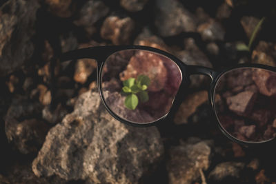 Close-up of sunglasses on rock