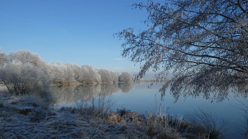 Scenic view of lake against clear sky during winter