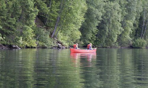 Friends kayaking in river amidst trees in forest