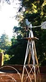 Close-up of statue against trees