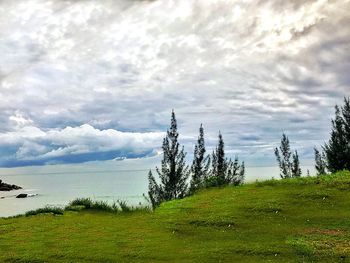 Scenic view of grassy field against cloudy sky