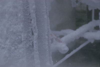 Close-up of snow on window