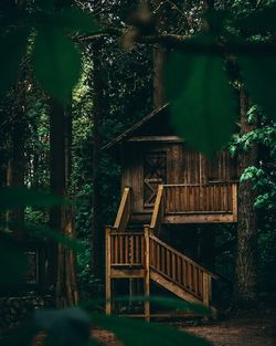 Cottage in forest