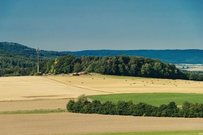 Scenic view of field against clear sky