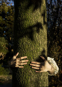 Woman holding tree trunk in forest