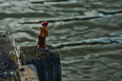 Close-up of fishing perching on wooden post