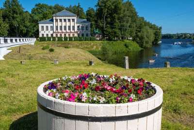 Flowering plants by lake against sky