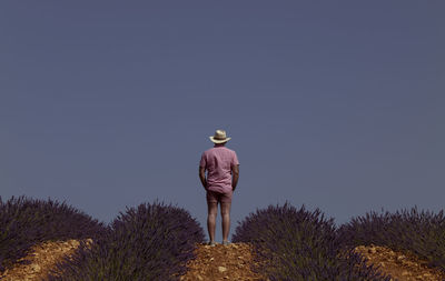 Rear view of adult man in hat on lavender fields. brihuega, spain