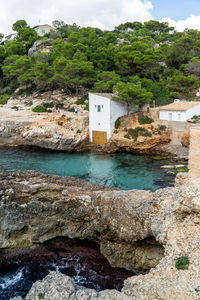 View of rocks and trees in water