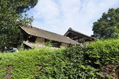 Low angle view of house against trees