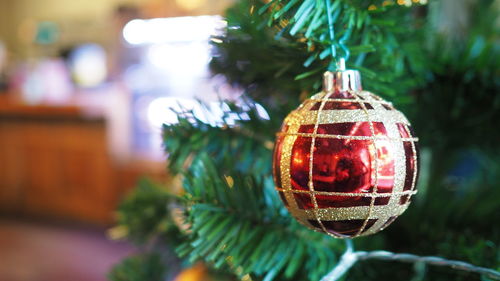 Close-up of illuminated christmas tree