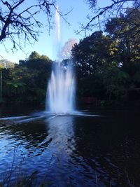 View of waterfall in forest