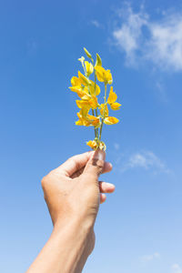 Cropped hand of woman holding flower against blue sky