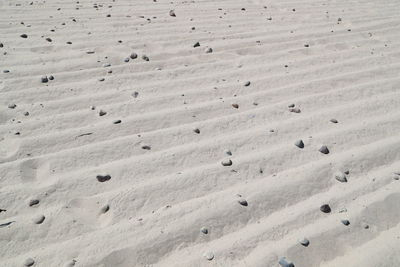 Full frame shot of sandy beach on sunny day