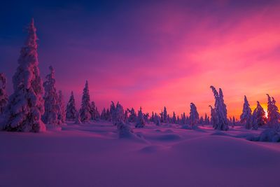 Scenic view of snow covered landscape against romantic sky