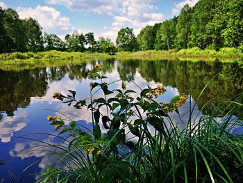 Scenic view of lake against sky