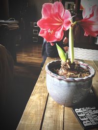 Close-up of flower pot on table