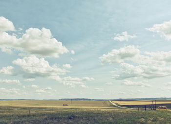 Scenic view of field against sky