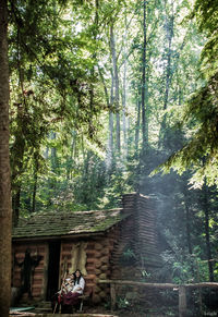Trees in a forest