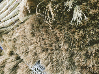 Full frame shot of rock on field