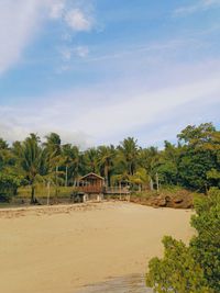 Trees and plants growing on beach against sky