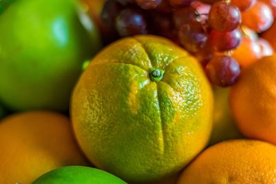 Close-up of orange fruit