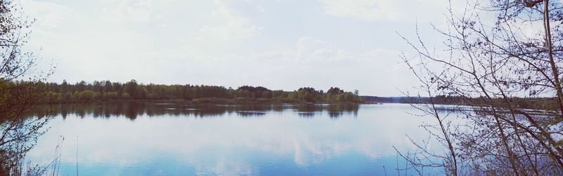 Reflection of trees in calm lake