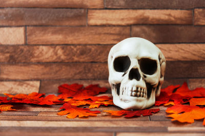 Close-up of human skull with autumn leaves on table