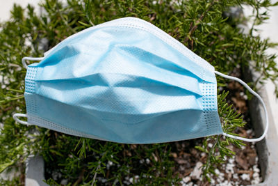 Close-up of umbrella on land