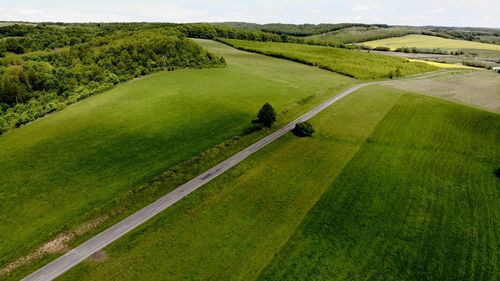 Scenic view of agricultural field