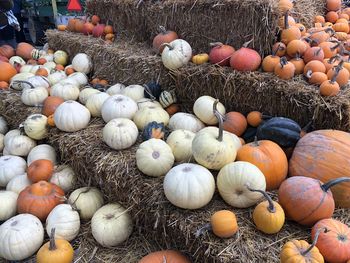 High angle view of pumpkins in market