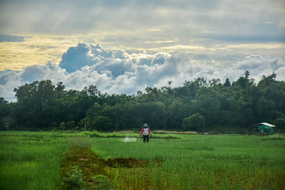 Scenic view of landscape against sky