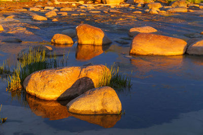 reflection