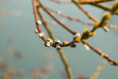 Close-up of water drops on metal against sky