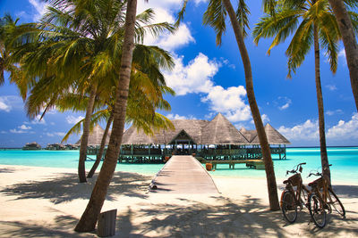 Beautiful coral reef sea of the maldives in the indian ocean