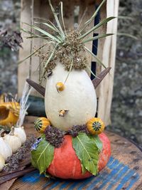 Close-up of pumpkin on plant