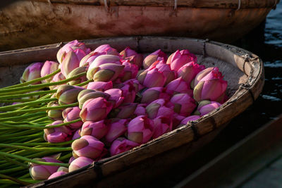 High angle view of pink flowers in basket