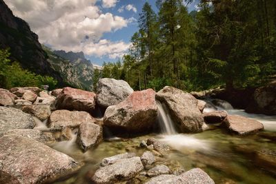 Scenic view of waterfall by rocks and plants