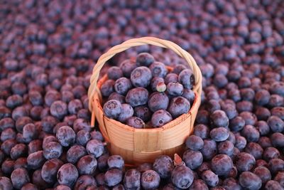 Close-up of fruits in basket