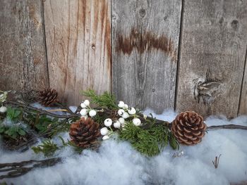 Close-up of pine cone on table